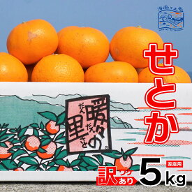 【ふるさと納税】 【2026年2月上旬から発送】 訳あり せとか 家庭用 5kg | 産地直送 国産 柑橘 期間限定 数量限定 ご当地 愛媛県 松山市