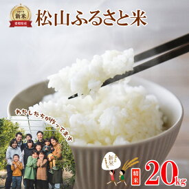 【ふるさと納税】 【2026年10月中旬から11月中旬頃順次発送】松山ふるさと米 愛媛県産 新米 令和8年産 20kg 精米 ｜産地直送 国産 白米 ブランド米 米 お米 期間限定 数量限定 ご当地 愛媛県 松山市 にじのきらめき ひのひかり あきたこまち にこまる