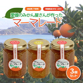 【ふるさと納税】 みかん マーマレード 150g×3 ｜ 柑橘 みかん加工品 ギフト 無添加 マーマレード ジャム フルーツ 伊予柑 ブラッドオレンジ 夏みかん レモン 果物 くだもの 愛媛みかん スイーツ 産地直送 ご当地 愛媛県 松山市
