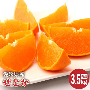 yӂ邳Ɣ[Łz y2026N2{蔭zQY Ƃ Gi 3.5kg | Ƃ ݂  Mtg 蕨  k ʌ Q Rs