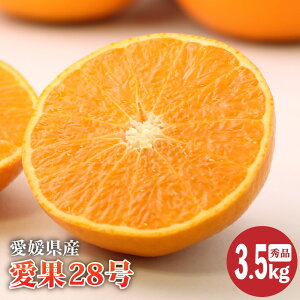 yӂ邳Ɣ[Łz y2025N12{蔭zQY 28 Gi 3.5kg |   ݂  Mtg 蕨  k ʌ Q Rs