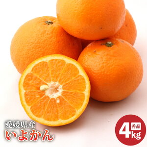 yӂ邳Ɣ[Łz y2026N2{蔭zQY ɗ\ Gi 4kg | 悩 CJ iyokan ݂ Mtg 蕨  k ʌ Q Rs