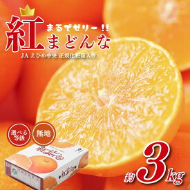 【ふるさと納税】 【先行予約】紅まどんな JAえひめ中央 正規化粧箱入 選べる 等級 無地 青秀以上 JA べにまどんな ベニマドンナ まどんな マドンナ みかん ミカン 蜜柑 果物 くだもの フルーツ 柑橘 かんきつ 愛媛果試第28号 愛媛県 松山市【11月下旬〜12月下旬発送】