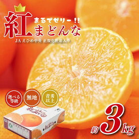 【ふるさと納税】 【先行予約】紅まどんな JAえひめ中央 正規化粧箱入 選べる 等級 無地 青秀以上 JA べにまどんな ベニマドンナ まどんな マドンナ みかん ミカン 蜜柑 果物 くだもの フルーツ 柑橘 柑橘類 かんきつ 愛媛果試第28号 愛媛 愛媛県【11月下旬～12月下旬発送】