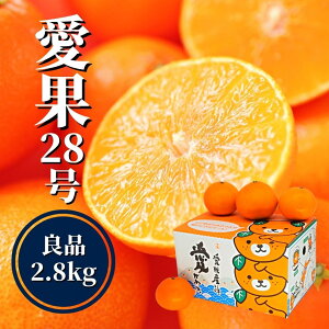 yӂ邳Ɣ[Łz y\tI2025N12珇z  2.8kg Ǖi | 28 ܂ǂ k ݂ ʕ  t[c   lC  O Mtg 