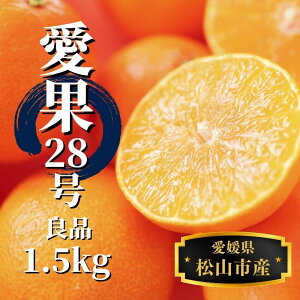 yӂ邳Ɣ[Łz y\tI2025N12珇z  1.5kg Ǖi | 28 ܂ǂ k ݂ ʕ  t[c   lC  O Mtg 