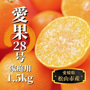 yӂ邳Ɣ[Łz y\tI2025N12珇z  1.5kg ƒp | 28 ܂ǂ k ݂ ʕ  t[c   lC  O Mt