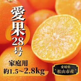 【ふるさと納税】 【2026年12月頃から順次発送】 愛果28号 (紅まどんな と同品種) 約1.5kg / 約2.8kg（ご家庭用）| 愛果28号 まどんな 柑橘 みかん 紅まどんな と同一品種 果物 くだもの フルーツ 高級 人気 お取り寄せ グルメ ギフト 期間限定 数量限定 愛媛県 松山市