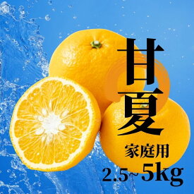 【ふるさと納税】 【2027年2月下旬頃から順次発送】甘夏 家庭用 約2.5 / 5.0kg | 愛媛 愛媛県産みかん 蜜柑 ミカン mikan みかん あまなつ 柑橘 お取り寄せ グルメ 期間限定 数量限定 酸味 果物 旬 愛媛県 松山市