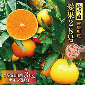 【ふるさと納税】2024年12月中旬から発送 あいか 訳あり ご家庭用 3kg 愛果28号 |みかん まどんな 訳あり 柑橘 みかん 果物 くだもの フルーツ おすすめ 高級 人気 お取り寄せ グルメ ギフト 期間 数量 限定 ご当地 愛媛県 松山市 蓮果園【12月中旬～発送】