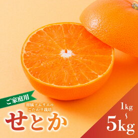 【ふるさと納税】 【2027年2月下旬から順次発送】せとか 家庭用 1kg/2.5kg/5kg B品 | 高級 みかん 柑橘 蜜柑 果物 くだもの フルーツ おすすめ 高級 人気 お取り寄せ グルメ ギフト 期間 数量 限定 ご当地 愛媛県 松山市 蓮果園