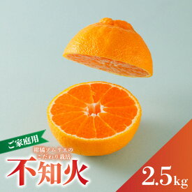 【ふるさと納税】 【2026年2月下旬から発送予定】 不知火（デコポンと同一品種） B品 訳あり 家庭用 約2.5kg または 約5kg |蜜柑 柑橘 みかん 果物 くだもの フルーツ おすすめ 高級 人気 お取り寄せ グルメ ギフト 期間限定 数量限定 ご当地 愛媛県 松山市