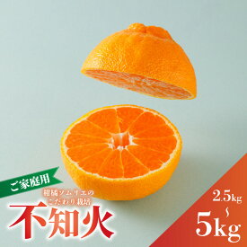 【ふるさと納税】 【2027年3月上旬頃から順次発送】 不知火（デコポンと同一品種） B品 訳あり 家庭用 約2.5kg または 約5kg |蜜柑 柑橘 みかん 果物 くだもの フルーツ おすすめ 高級 人気 お取り寄せ グルメ ギフト 期間限定 数量限定 ご当地 愛媛県 松山市
