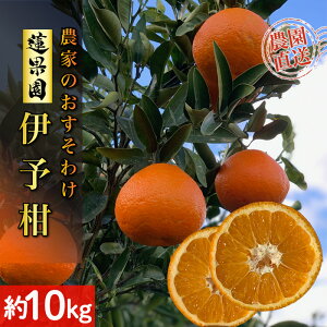 【ふるさと納税】 【先行予約】 【2026年1月から発送予定】 家庭用 宮内伊予柑 5kg または 10kg サイズ混合 | 訳あり 柑橘 みかん 果物 くだもの フルーツ おすすめ 人気 お取り寄せ グルメ ギフ