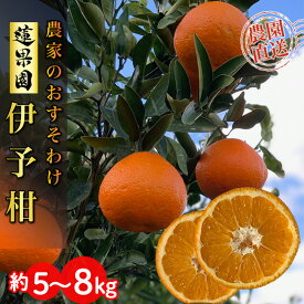 【ふるさと納税】 【先行予約】 【2026年1月から発送予定】 家庭用 宮内伊予柑 5kg または 8kg サイズ混合 （ 訳あり 柑橘 みかん 果物 くだもの フルーツ おすすめ 人気 お取り寄せ グルメ ギフト 期間限定 数量限定 ご当地 愛媛県 松山市 ）