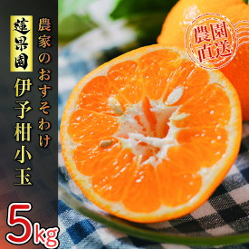 【ふるさと納税】 【先行予約】 【2026年1月から発送予定】 宮内伊予柑 家庭用 小玉 5kg サイズ混合 柑橘 みかん 果物 くだもの フルーツ おすすめ 人気 お取り寄せ グルメ ギフト 期間限定 数量限定 ご当地 愛媛県 松山市