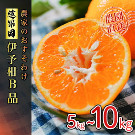【ふるさと納税】【先行予約】【2026年1月から発送予定】 宮内伊予柑 家庭用 5kg または 10kg サイズ混合 | 訳あり 柑橘 みかん ミカン 柑橘 果物 くだもの フルーツ おすすめ 人気 お取り寄せ グルメ ギフト 期間限定 数量限定 ご当地 愛媛県産みかん 愛媛県 松山市