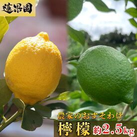 【ふるさと納税】 【先行予約】グリーンレモン【 9月から発送】イエローレモン 【 2026年1月上旬から発送】 家庭用 レモン 約2.5kg 防腐剤 ワックス 不使用｜ 訳あり レモン 檸檬 完熟 柑橘 酸味 国産 愛媛県産 訳あり 新鮮 愛媛 松山