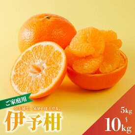 【ふるさと納税】 家庭用 宮内伊予柑 5kg/10kg サイズ混合 【2027年1月下旬から順次発送】 | 訳あり 柑橘 みかん ミカン 柑橘 果物 くだもの フルーツ おすすめ 人気 お取り寄せ グルメ ギフト 期間限定 数量限定 ご当地 愛媛県産みかん 愛媛県 松山市