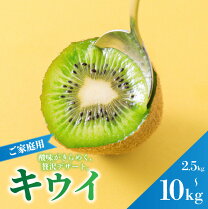 楽天市場】訳あり キウイの通販