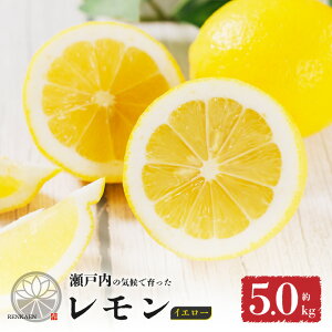 yӂ邳Ɣ[Łz ys\z O[ y 9甭z CG[ y 2026N1{甭z ƒp  2.5kg / 5.0kg h bNX sgpb 󂠂  EG n 