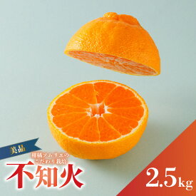 【ふるさと納税】 【2027年3月上旬頃から順次発送】 不知火(デコポンと同一品種) 美品 約 2.5kg | 蜜柑 柑橘 みかん 果物 くだもの フルーツ おすすめ 高級 人気 お取り寄せ グルメ ギフト 期間限定 数量限定 ご当地 愛媛県 松山市 蓮果園