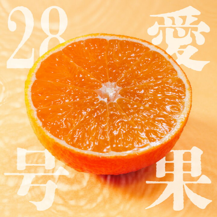 楽天市場】【ふるさと納税】 愛果28号 ( 紅まどんな と同品種 ) 家庭用 