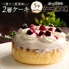 【ふるさと納税】 【選べる2種】1度で2度美味しい！ボリュームたっぷり 2層ケーキ 手作り 贈答 お祝い 愛媛県 松山市