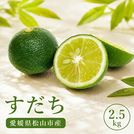 【ふるさと納税】 【2026年8月上旬より順次発送】すだち 2.5kg 家庭用 愛媛県産 | 不揃い キズあり 訳あり フルーツ 果物 くだもの 農家直送 スダチ すだち果汁 焼き魚 ぶり しいたけ お酒 酢 旬 刺身 ぶり 愛媛県 松山市