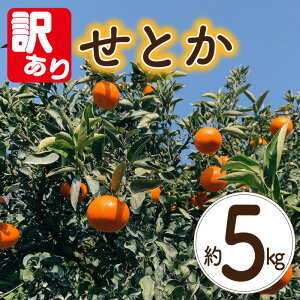 yӂ邳Ɣ[Łz y󂠂z Ƃ 5kg y3{~3{\z | Ƃ ݂ k ZgJ s\ ~J 񂫂 ʕ t[c    Q Rs