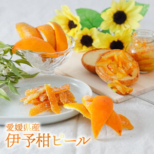 yӂ邳Ɣ[Łz yR͔|zՂ!R͔| 悩 Ⓚ s[  b 悩 َqÂ }[}[h  ɗ\ QY ݂ R͔| k ~J ~J QY