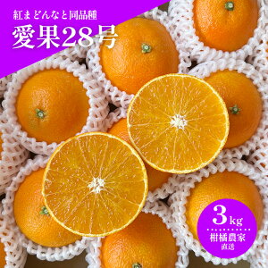 yӂ邳Ɣ[Łz ys\(2025N11{甭)z ʌ 28ig܂ǂȂƓij 3kg s\ Q k ʕ  t[c  O Ԍ lC 