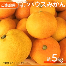 【ふるさと納税】 【2026年6月中旬頃から順次発送】家庭用 ハウスみかん 5kg | 愛媛 みかん 先行予約 蜜柑 柑橘 果物 くだもの フルーツ お取り寄せ グルメ 期間限定 数量限定 人気 おすすめ 愛媛県 松山市