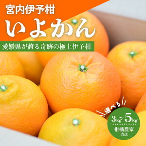 【ふるさと納税】 【先行予約 2026年1月中旬から発送予定】 宮内伊予柑 いよかん 3kgまたは5kg 愛媛 みかん 松山 みかん 農家直送 いよかん 蜜柑 柑橘 果物 くだもの フルーツ お取り寄せ グル