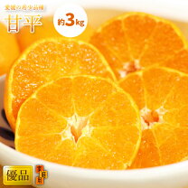楽天市場】甘平 2lの通販