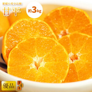 【ふるさと納税】 【1月中旬から発送】 甘平 かんぺい 家庭用(優品) 約3kg L〜4L 8〜15玉 柑橘 みかん ミカン 果物 フルーツ 希少品種 高級柑橘 紅まどんな せとか 贈答用 ギフト 家庭用 国産 産