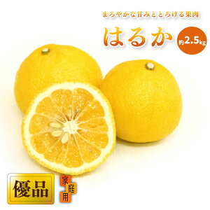 yӂ邳Ɣ[Łz ys\z y2026N2{甭z ͂邩 ƒp(Di)  2.5kg | Q ݂ s\  k ʕ  t[c  O Ԍ ʌ lC 