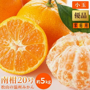 yӂ邳Ɣ[Łz ys\zy2025N12{甭\zB ݂ 승 20 ƒp(Di)   5kg | Q ݂ s\  k ʕ  t[c  O 