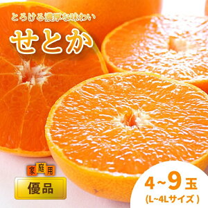 yӂ邳Ɣ[Łz y2{甭z Ƃ ƒp(Di) L`4L 4`9 k ݂ ~J ʕ t[c Â W[V[ g  k 󏭕i ʌ p Mtg ƒp 