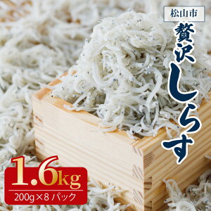 yӂ邳Ɣ[Łz 炷 400g`1.6kgi200g×1`8܁j QY g    VN 炷 Ԃ  `[n pX^ XpQeB T_ Ă  CN O lC 