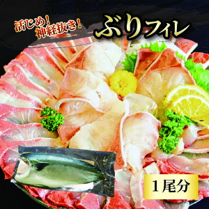 yӂ邳Ɣ[Łz ԂtB g1 /  | Ԃ u   N hg  _o Q Rs