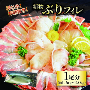yӂ邳Ɣ[Łz y2025N7{甭z߁I_oI (V) ԂtBg1 / 1 | N hg hg hg  C̍K ① u  Ԃ Q Rs