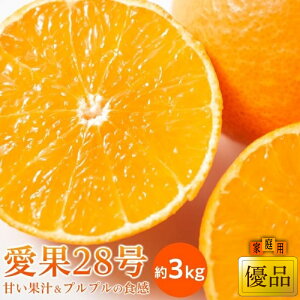 yӂ邳Ɣ[Łz y11{甭z ƒp(Di) 3kg | 28 g܂ǂ i k ݂ ~J ʕ t[c Â W[V[  [[H lC p Mtg Yn