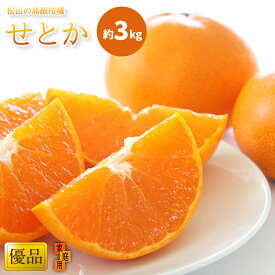【ふるさと納税】 【先行予約】 せとか 家庭用(優品) 約3kg L～4L 8～15玉 先行予約 柑橘 みかん ミカン mikan 果物 フルーツ 薄皮 ふるさと納税せとか 希少品種 数量限定 産地直送 国産 愛媛 高級 柑橘 贈答用 ギフト 家庭用 愛媛県 松山市 送料無料 【2月中旬から発送】