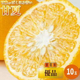 【ふるさと納税】 【2026年3月上旬から発送予定】甘夏 家庭用(優品) 10玉 | 愛媛 みかん 先行予約 蜜柑 柑橘 果物 くだもの フルーツ お取り寄せ グルメ 期間限定 数量限定 人気 おすすめ 愛媛県 松山市