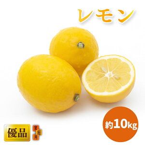 yӂ邳Ɣ[Łz y2026N3{甭z ˓C̓ DiEƒp 5kg ܂ 10kg b EG  ς _ς _ ʌ Ԍ  QY _ L@