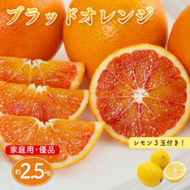 【ふるさと納税】 【先行予約】ブラッドオレンジ 家庭用(優品) 約2.5kg & 瀬戸内海の島レモン 3玉 セット | 柑橘 レモン みかん 蜜柑 mikan 檸檬 オレンジ ブラッドオレンジ おれんじ かんきつ セット【2026年3月下旬頃から発送予定】 瀬戸内海 愛媛県 松山市 ココオ Koko'o