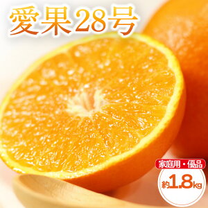 yӂ邳Ɣ[Łz ys\z k 28 ƒp(Di)  1.8kg 4-9 / L-4L | g܂ǂ Ɠi 28 ݂  mikan EG IW  񂫂 y2025N11{甭