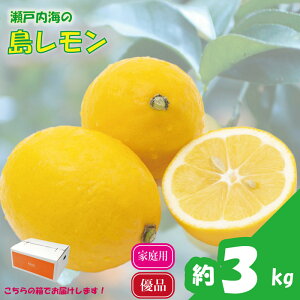 yӂ邳Ɣ[Łz ys\z ˓C̓ (DiEƒp) 3kg |  EG  t[c y2026N3{甭\zVN k ӂ[ ʕ  _ƒ Yn 