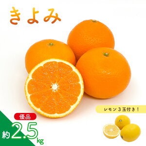 yӂ邳Ɣ[Łz ys\z  (Di) 2.5kg  ˓C̓3 | ݂ IW ~J mikan k 񂫂  EG  t[c y2026N3{甭\z